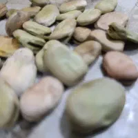 باقله خشک