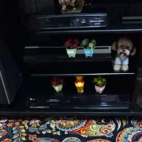 سینما خانگی ال جی|سیستم صوتی خانگی|زاهدان, |دیوار