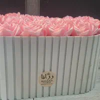 گل روبانی صورتی نو ۱۷ شاخه با باکس