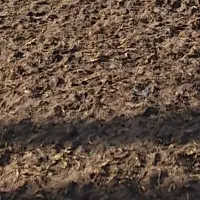 زمین مسکونی سند تک برگ داخل شهری