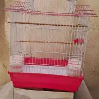 قفس پرنده