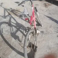 دوچرخه|دوچرخه، اسکیت، اسکوتر|قشم, |دیوار