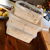 شیره خرما و ارده|خوردنی و آشامیدنی|بهشهر, |دیوار