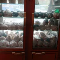 شاگرد برای مرغ فروشی