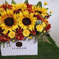 گل پیچک|گل و گیاه طبیعی|نجف‌آباد, جلال آباد|دیوار