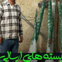 نهال بادام سوپر نوا و...ویژه|خدمات باغبانی و درختکاری|آباده, |دیوار