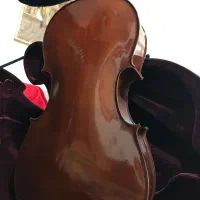 ویولنسل هافنر.ویلنسل هافنر.|ویولن|تهران, فردوس|دیوار