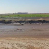 فروش زمین زراعی باغی