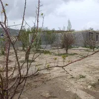 باغچه بالای ۲۵۰ متر  دشت ارژن