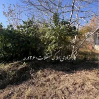فروش خانه ویلایی دلباز حیاط دار بر جاده تهران|فروش خانه و ویلا|رشت, گیل|دیوار