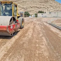 راننده غلطک