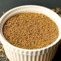 بذر یونجه مائوپا درجه یک و نمونه (بوجاری شده)