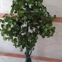 درختچه سالم|گل مصنوعی|میانه, |دیوار