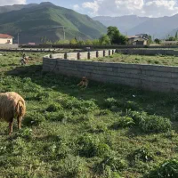 هزار متر زمین کجور روستای خاچک فروش فوری