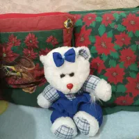 عروسک|اسباب‌بازی بچه|زاهدان, |دیوار