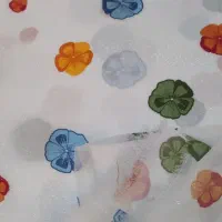 لباس باسریگ|لباس|چابهار, |دیوار