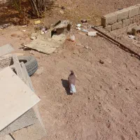 ۲۳۰ هزارتومان|پرنده|اژیه, |دیوار