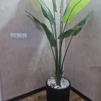 درختچه مصنوعی پرنده بهشتی