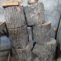 تنه چوب گردو و سنجد خشک مناسب ظروف چوبی|صنایع دستی و سایر لوازم تزئینی|تبریز, |دیوار