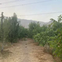 گلخانه|فروش دفتر صنعتی، کشاورزی، تجاری|بیستون, |دیوار