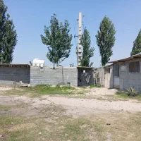 مشارکت در تولید کمپوست قارچ دکمه ای