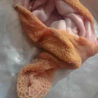 کله پاچه و سیرابی|خوردنی و آشامیدنی|خرم‌آباد, |دیوار