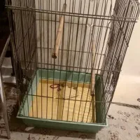 قفس کاسکو -طوطی
