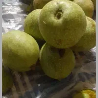 گردو سبز|خوردنی و آشامیدنی|دزفول, |دیوار