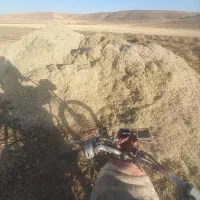 لوازم جانبی حیوانات