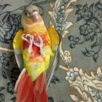 گرینچک سالم وبازیهوش
