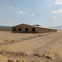 فروش مرغداری ۲۰هزاری|فروش دفتر صنعتی، کشاورزی، تجاری|شیروان (لرستان), |دیوار