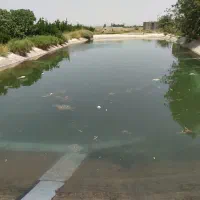 فروش-گلخانه-و-باغ-در-بهترین-لوکیشن