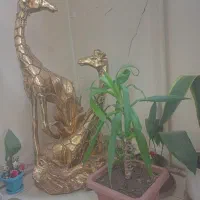 مجسمه زرافه