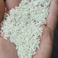 برنج علی کاظمی درجه یک به ضمانت