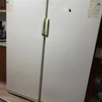 یخچال و فریزر دوقلو ارج