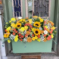 استخدام نیروی خدماتی(نظافت و تمیرکاری)|استخدام سرایداری و نظافت|تهران, بریانک|دیوار