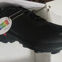 کتونی طبیعت گردی رونی