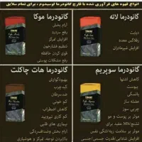 قهوه گانودرما