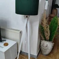 آباژور کنار سالنی