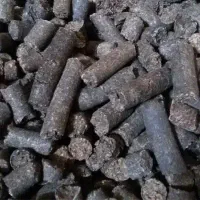 خوراک دام  کاه نیشکر