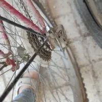 دوچرخه۲۴|دوچرخه، اسکیت، اسکوتر|مشهد, مهدی آباد (بلوار توس)|دیوار