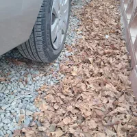 ال نود در حد ۱۳۸۶ .کم‌ کار .|خودرو سواری و وانت|پاکدشت, پاکدشت (مامازند)|دیوار