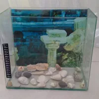 اکواریوم شیشه خم درحد نو
