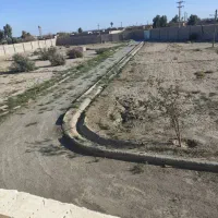 پرورش شتر مرغ و دامداری|اجارهٔ دفتر صنعتی، کشاورزی، تجاری|خمک, |دیوار