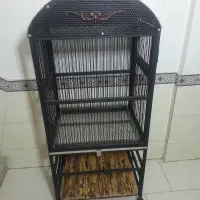 قفس چرخ دار پرنده نونو طوطی عروس هلندی کاسکو|لوازم جانبی حیوانات|مشکیندشت, |دیوار