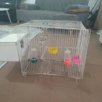 قفس پرنده بزرگ با لونه اش ۳۰۰همش باهم|لوازم جانبی حیوانات|مشهد, انقلاب|دیوار