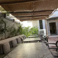 سالندار و سر سالندار و ظرف شور