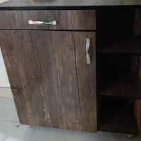 جا کفشی