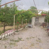 فروش باغ 1500متری در اراضی جواش