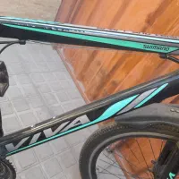 دوچرخه ویوا|دوچرخه، اسکیت، اسکوتر|کرمان, |دیوار